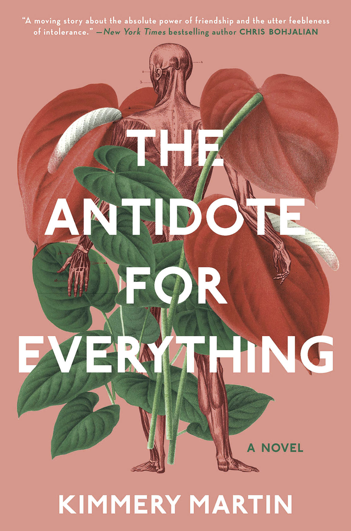 Fleischli book cover